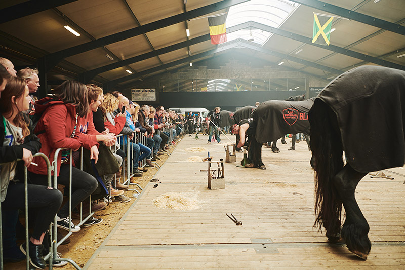 Visitors close to the action around the competition arena